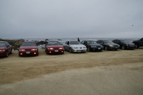 1990 Ford Taurus - Several Ford Tauruses are parked on a beach overlooking the ocean on an overcast day.