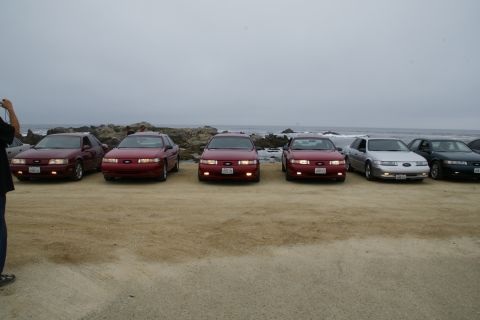 1990 Ford Taurus - Several Ford Taurus sedans are lined up on a beach, with the ocean and rocky shore visible behind them.