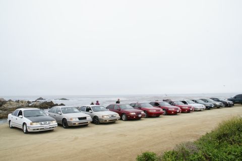1990 Ford Taurus - A row of Ford Taurus sedans, including a white model with a black hood, are parked along the coast on a cloudy day.