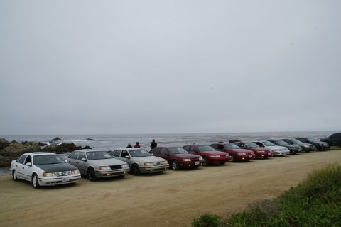 1990 Ford Taurus - A group of Ford Taurus sedans from the early 1990s are parked along the coast on an overcast day.
