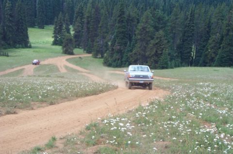 1989 Ford F-150 - Almost to the top. Hey Kurt! Did you see any back-up lights? :-)