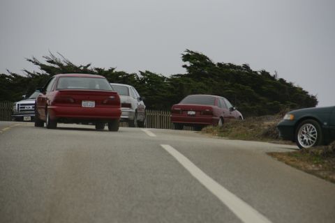 1990 Ford Taurus - Several cars are parked along a road with trees in the background.