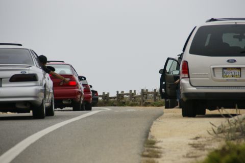 1990 Ford Taurus - Multiple vehicles are lined up on a roadside with a wooden fence in the background.
