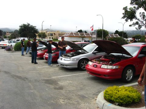 2003 Ford Taurus - Several Ford Taurus models from 2003 are displayed with their hoods open in a parking lot gathering.