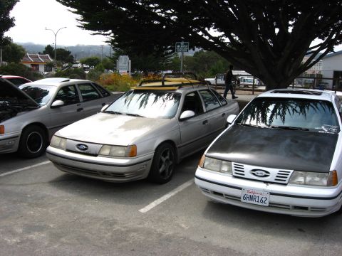 2003 Ford Taurus - Two Ford Taurus sedans are parked side-by-side under a large tree.