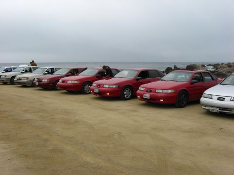 2003 Ford Taurus - A line of Ford Taurus sedans are parked on a beach with the ocean in the background.