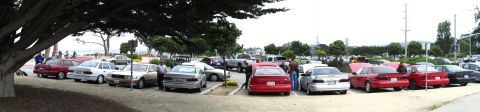 2003 Ford Taurus - Wide panoramic shot of a waterfront parking lot lined with sedans and pickups under large cypress trees, with people standing between the c…