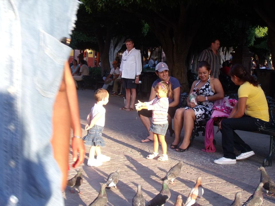 Children and adults in a park with pigeons on the ground