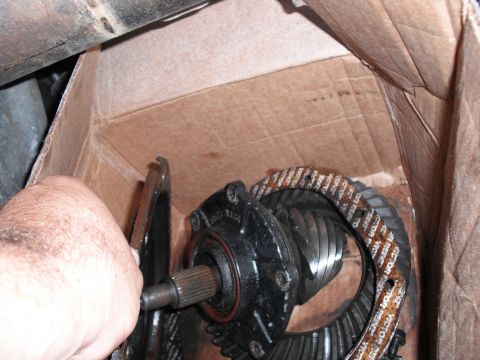 1991 Ford Bronco - Differential gears are shown in a cardboard box, with a hand holding one of the components.