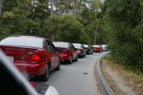 1990 Ford Taurus - A line of cars, including a red 1990 Ford Taurus, are stuck in traffic on a tree-lined road.
