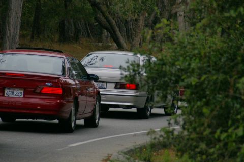 1990 Ford Taurus - Two sedans, a red 1990 Ford Taurus and a silver one, drive down a tree-lined road.