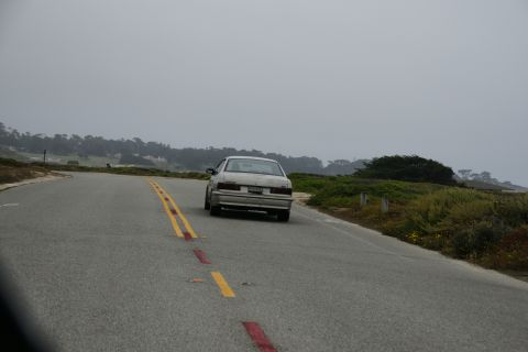 1990 Ford Taurus - A 1990 Ford Taurus sedan travels along a winding road on a foggy day, with coastal vegetation visible on the right.