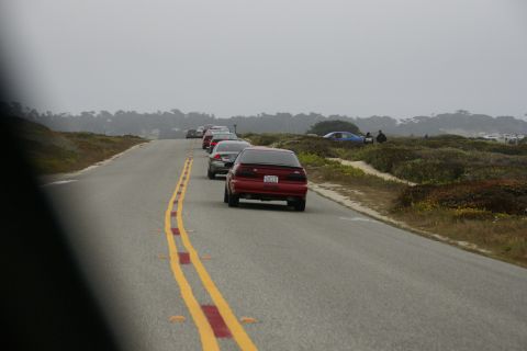 1990 Ford Taurus - A line of cars drives along a road next to a vegetated coastline under an overcast sky.