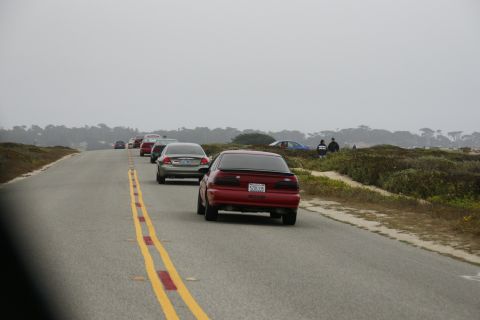 1990 Ford Taurus - A line of cars drives down a coastal road under an overcast sky.