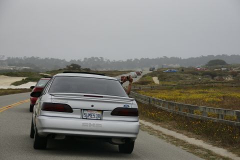 1990 Ford Taurus - A silver sedan drives along a scenic road, with other vehicles following and a person capturing the moment.