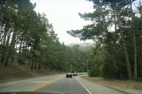 1990 Ford Taurus - Driving on a road surrounded by trees, with two vehicles ahead.