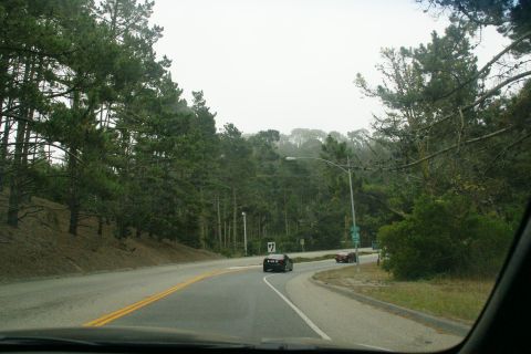 1990 Ford Taurus - A black sedan navigates a curve on a scenic road, with a red car visible further ahead.