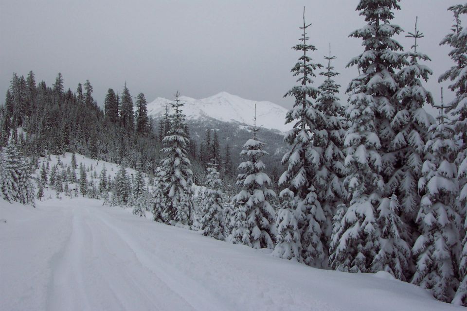 Diamond Peak, nearly 9000 ft. View from Bear Mountain, 6100 ft, where the snow is 19 inches deep. 

Here again the 37x12.50 SuperSwamper SSR’s got us up the hills and over the top, plowing snow all the way. Others had tried but had to turn around down below, so the cool white powder was fresh and clean for us. (day after Thanksgiving, 11/23/01)