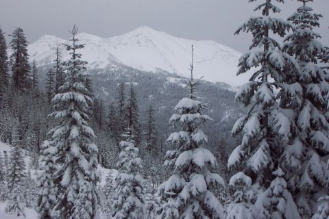 1989 Ford F-150 - Diamond Peak, nearly 9000 ft (3x Zoom). View from Bear Mountain, 6100 ft, where the snow is 19 inches deep but we plowed our way up the hil…