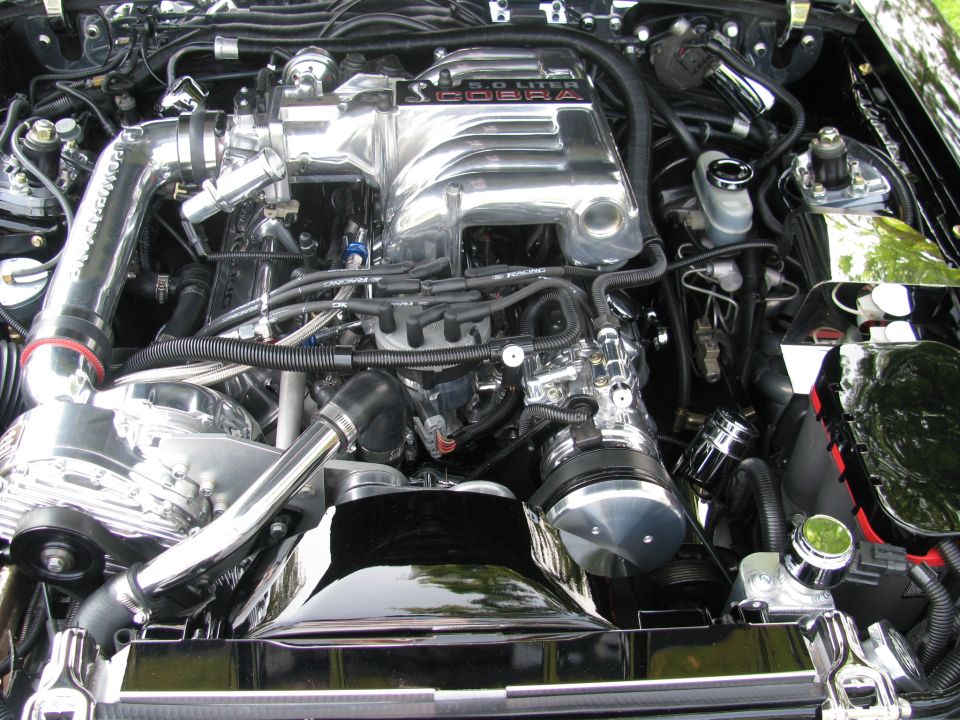 Polished supercharged 5.0 Cobra V8 engine bay