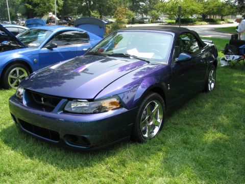 2003 Mercury Marauder - A purple Ford Mustang convertible is displayed on a grassy lawn next to a blue Ford Mustang.