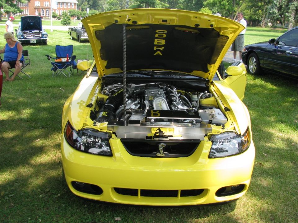 Yellow 2003 Ford Mustang Cobra with hood open, showing engine. Cobra logo on grille. Other cars in background