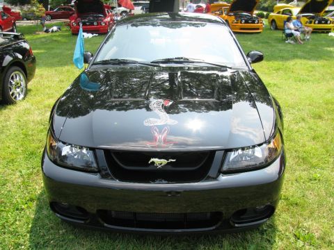 2003 Mercury Marauder - A black Ford Mustang Cobra with a snake decal is parked on grass at a car show.