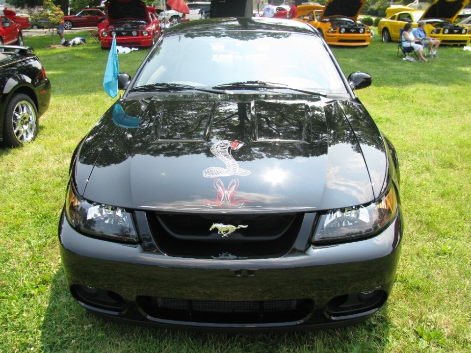Black Ford Mustang Cobra with a snake decal on the hood, front view