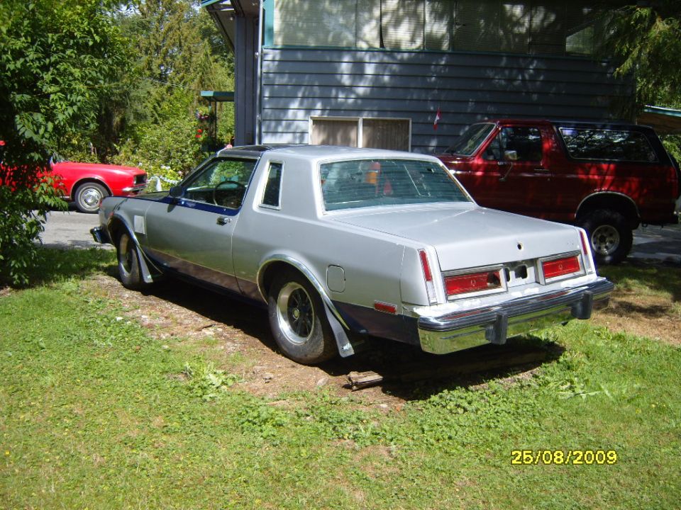 Silver coupe with blue trim, rear view, parked on grass next to a house. Red SUV visible behind it
