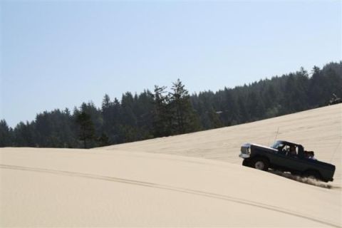 1979 Ford Bronco - A pickup truck navigates a sandy slope under a clear sky, with a dense forest lining the horizon.