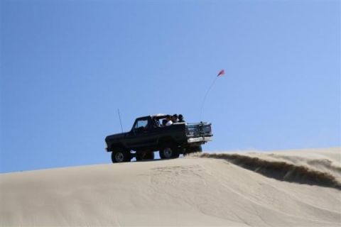 1979 Ford Bronco - Ford Bronco navigates a sandy incline under a clear blue sky.
