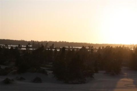 1979 Ford Bronco - A sunset over sand dunes and a pine forest.