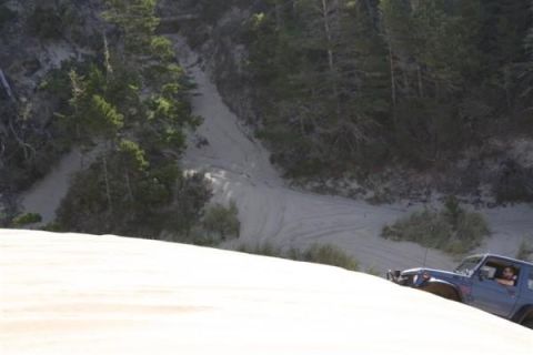 1979 Ford Bronco - A blue SUV navigates a sandy terrain with dense trees visible in the distance.