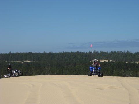 1979 Ford Bronco - Two ATVs are seen riding on sand dunes with a forest in the background.