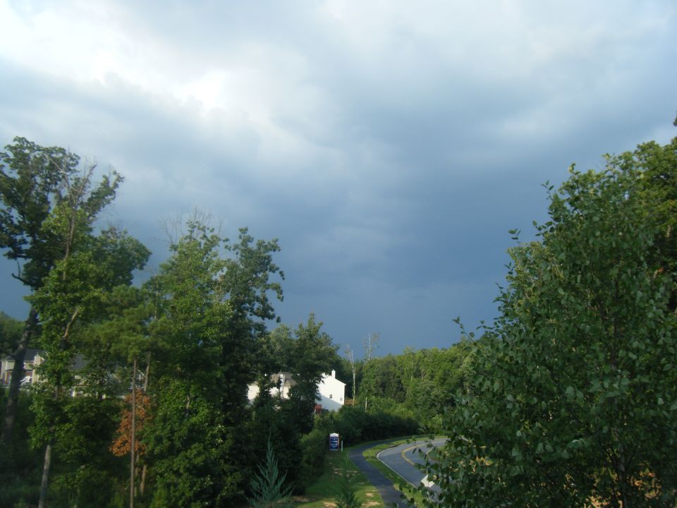 Stormy sky over a winding road and trees