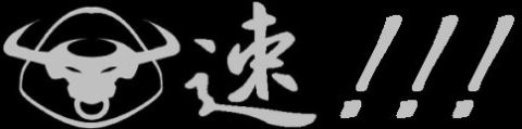 1999 Ford Taurus - A graphic a bull's head emblem, the Japanese character for speed, and three exclamation marks.