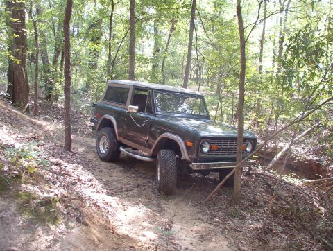 1975 Ford Bronco - The gate...