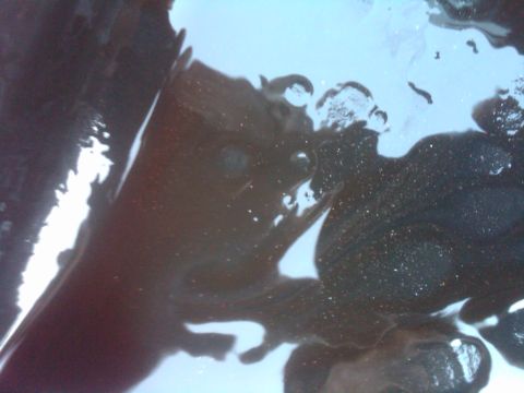 1982 Ford Bronco - A close-up view of dark, reflective fluid, possibly engine oil, with visible glittery particles.