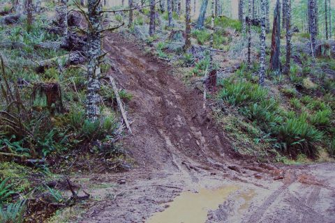 1989 Ford F-150 - Very muddy steep 4x4 trail in the Tillamook State Forest Off Highway Vehicle area.