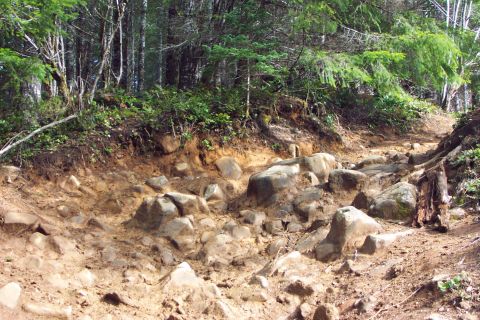 1989 Ford F-150 - The end/entrance of Powerline, trail #4, just Southwest of Horse Camp. This is no place for a stock vehicle. Even lockers, 35's and 6\" lif…