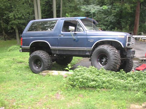 1986 Ford Bronco - This lifted 1986 Ford Bronco sits on a grassy area, ready for off-road adventures.