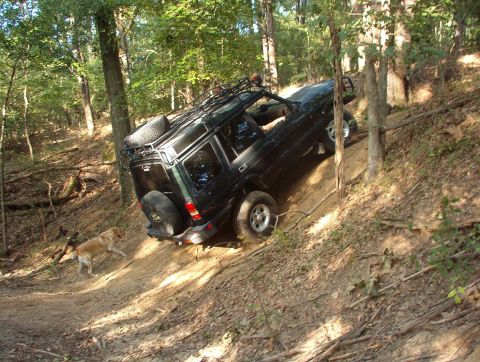 1983 Ford Bronco - Of course, as soon as he got enough bolts to put the d'shaft back in, we had to take it for a shakedown cruise in his back yard. He went st…