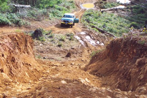 1989 Ford F-150 - Steve sizing up a hill on Powerline Trail.