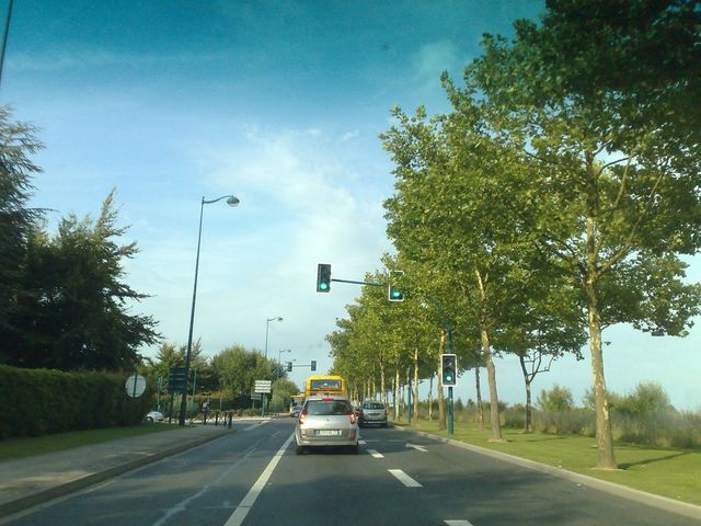 Silver car seen from behind on a road with trees and traffic lights