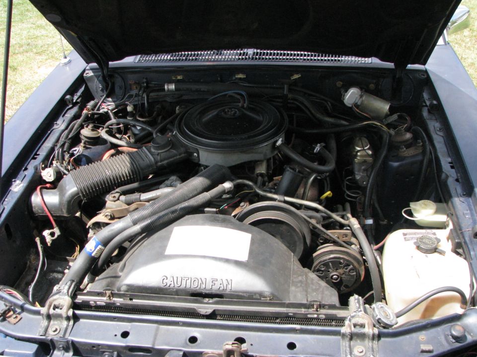 Ford V8 engine bay with round air cleaner and CAUTION FAN shroud under a raised blue hood