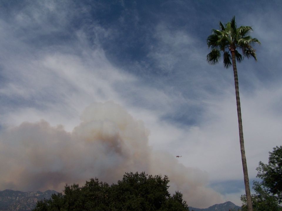Smoke billows from a wildfire, a helicopter flies nearby, with a tall palm tree in the foreground
