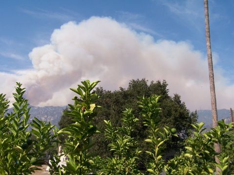 1990 Ford Bronco - A large smoke plume is visible over the mountains, with trees and foliage in the foreground.