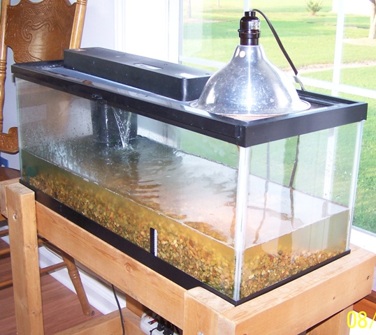 Glass aquarium with gravel, filter and heat lamp on a wooden stand indoors