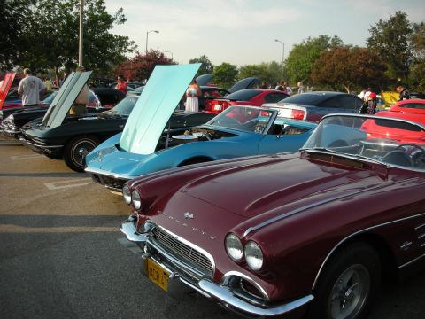 1998 Ford Crown Victoria - Several classic Corvettes and other vehicles are parked at an outdoor car meet.
