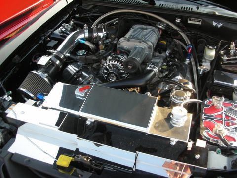 1998 Ford Crown Victoria - Customized engine bay a prominent supercharger and polished components.